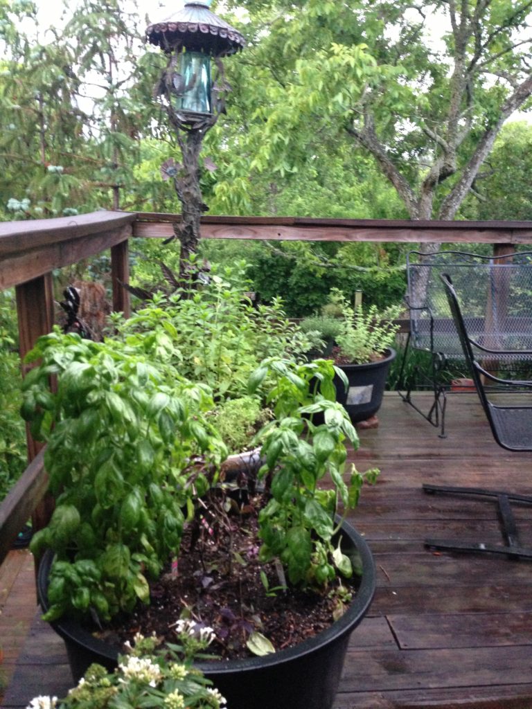 Herb containers on my deck