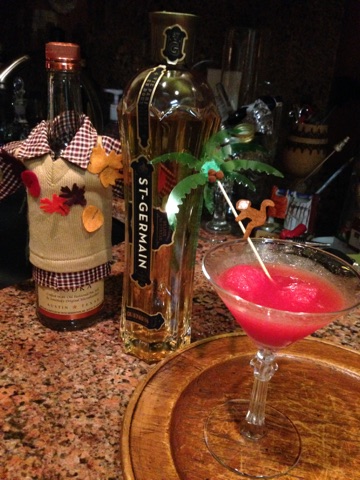 Summer Rebellion Watermelon Martini’s