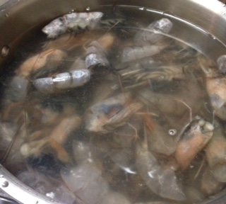 The start of shrimp stock