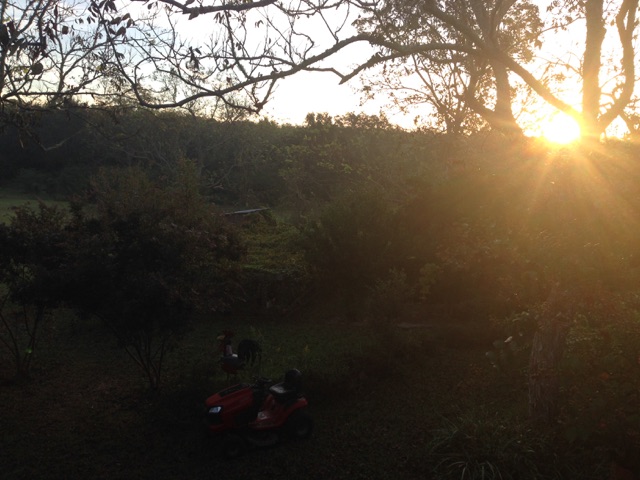 View out back at sunrise