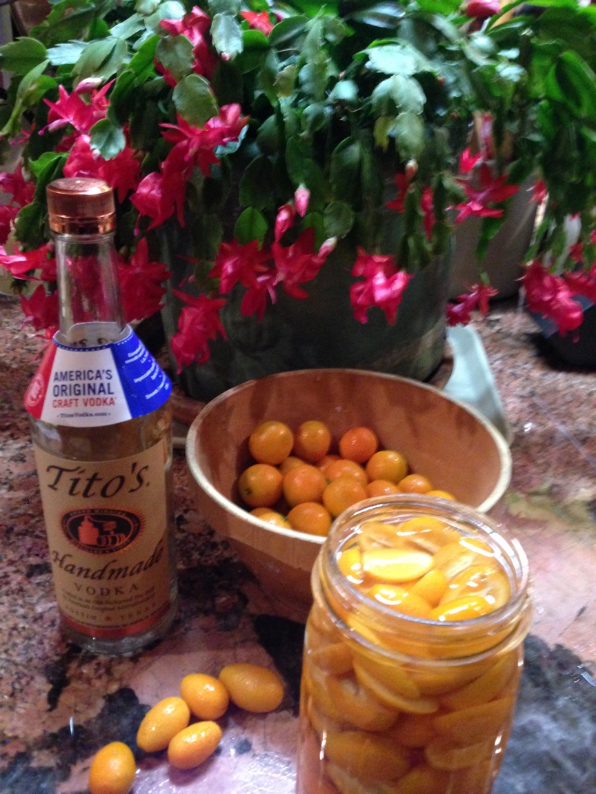 Good Intentions and Vodka Infused Kumquats