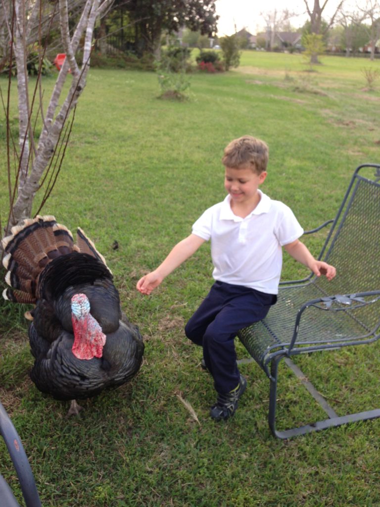 Turkey and young boy  in pastoral setting