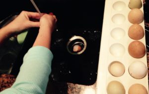 Washing Farm Fresh Eggs for Spicy Sausage & Egg Pie