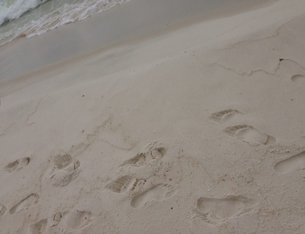 Sandy footprints Paddling- Dolphins want play? www.diningwithmimi.com