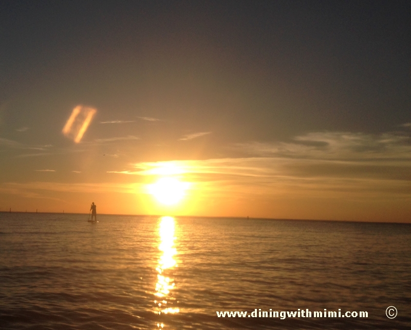 Paddle boards- Dolphins want play ?