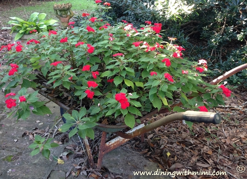 Wheelbarrow holding red flowers www.diningwithmimi.comOld Southern Rice Dressing Recipe 