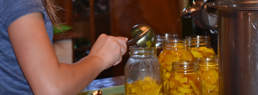 Canning Squash Pickles in process for Canning Squash Pickles for My Fearless Sous Chef in Training www.diningwithmimi.com Canning Squash Pickles in process for My Fearless Sous Chef in Training www.diningwithmimi.com