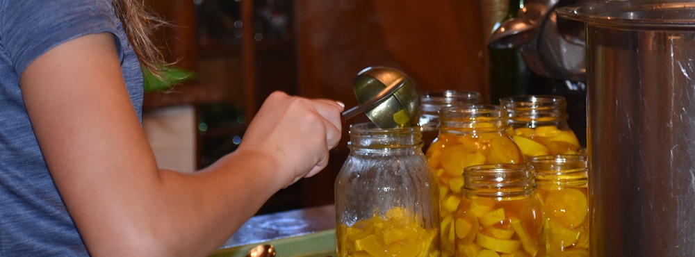 Canning Squash Pickles in process for My Fearless Sous Chef in Training www.diningwithmimi.com