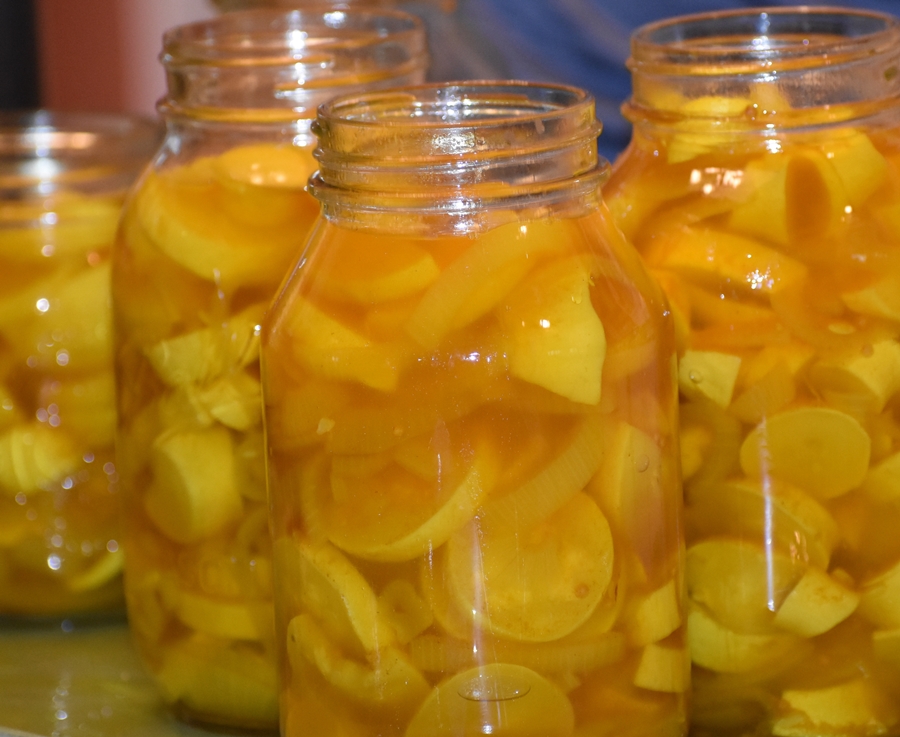 Squash Pickle Recipe and My Fearless Sous Chef In Training www.diningwithmimi.com