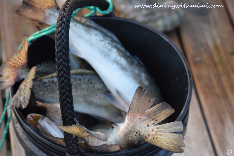 Bucket of Fish Unwind on Dauphin Island www.diningwithmimi.com