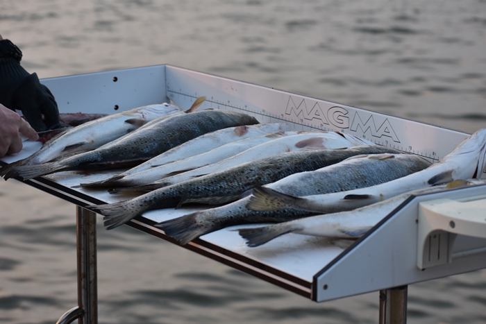 Fish Cleaning Table loaded Trout Unwind on Dauphin Island www.diningwithmimi.com