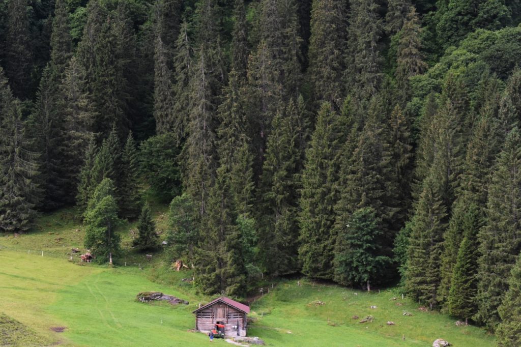 View from Cable Car for Dazed by Engelberg in July www.diningwithmimi.com