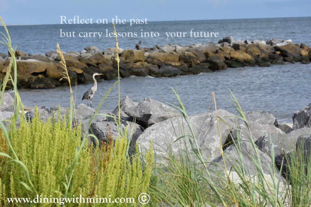 Bird reflecting on the water near bright greenery and rocks for Reflect on your past Mimi-isms #Ireallyneededthistoday www.diningwithmimi.com