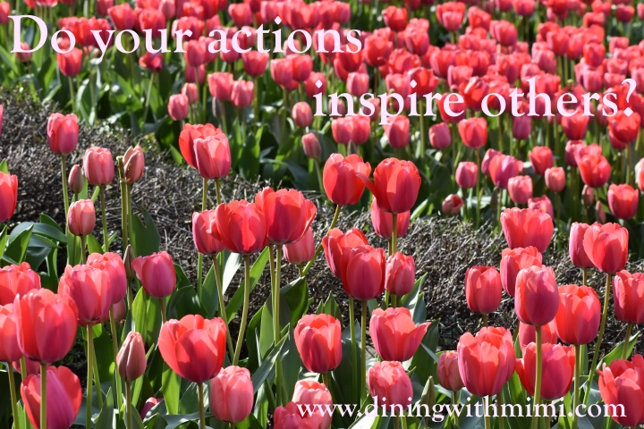 Field of Red Tulips for Quote- Do your actions inspire others? www.diningwithmimi.com