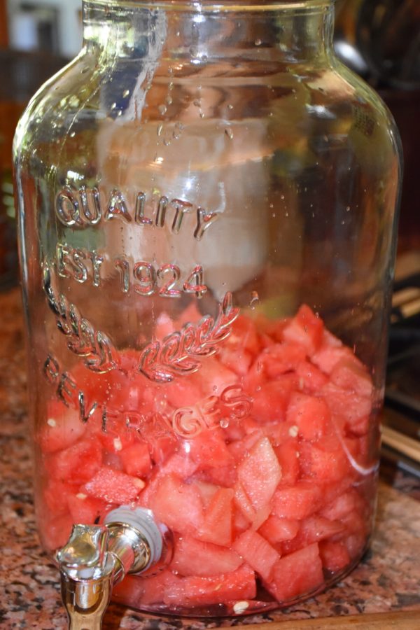 Watermelon waiting for vodka in 5 gallon dispenser www.diningwithmimi.com