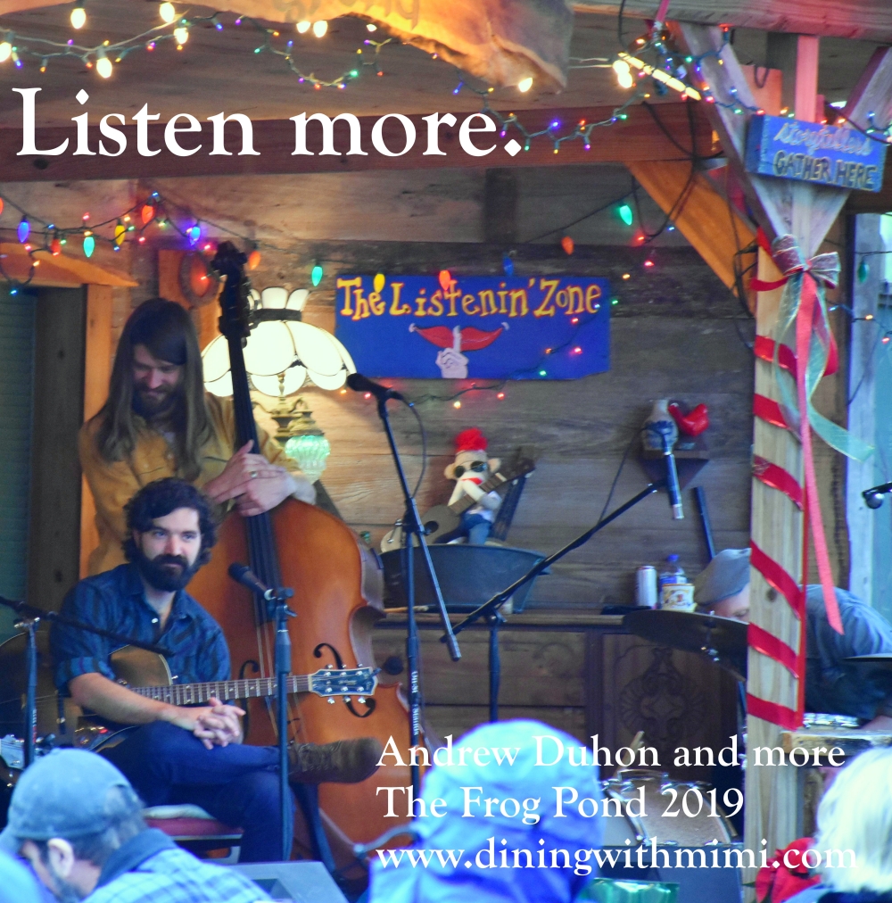Photo Musician Andrew Duhon playing The Listening Zone on Blue Moon Farm at The Frog Pond