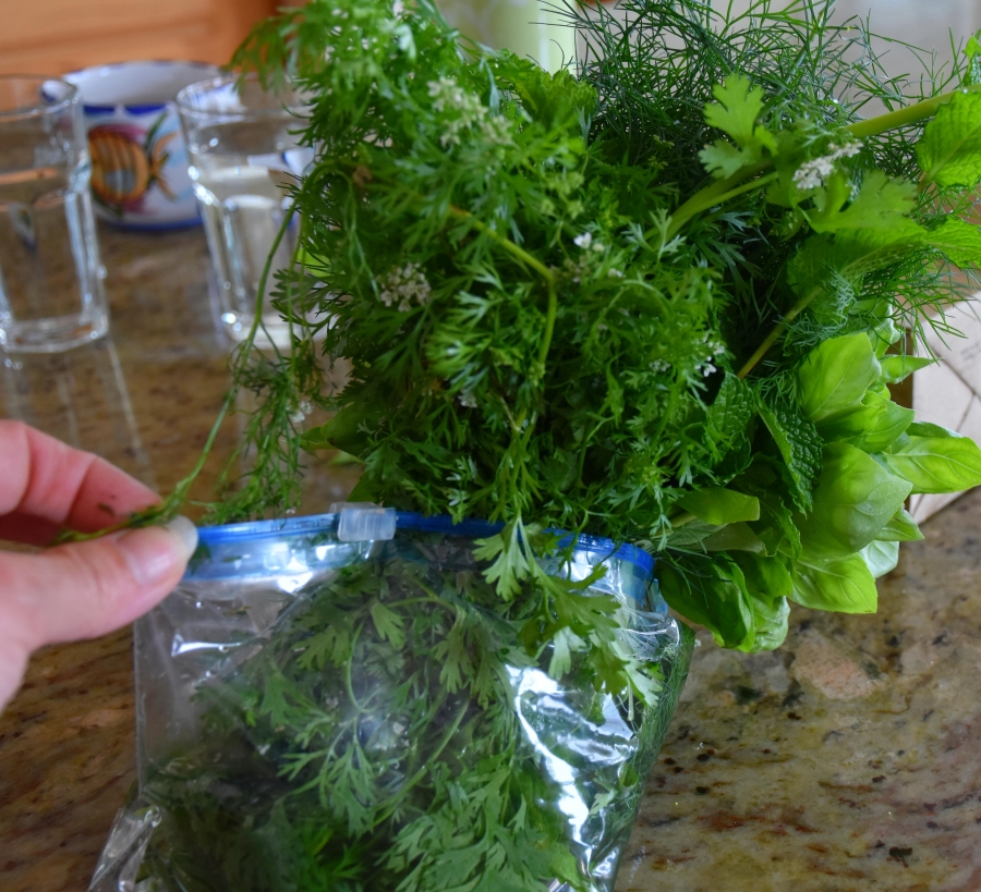 Ziplock herbs for Island cooking www.diningwithmimi.com